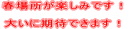 春場所が楽しみです！大いに期待できます！