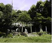 住吉神社の遠景