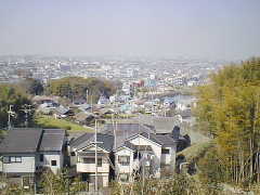 新川からの眺望、手前が森村